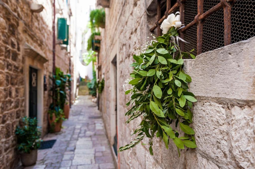Angelus Apartments Dubrovnik Exteriör bild